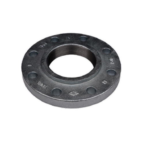 1 in. Ductile Iron Threaded Flange (108062)