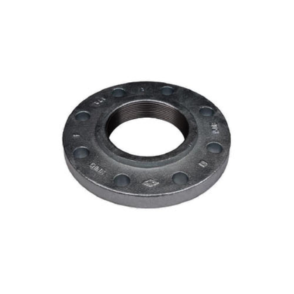 4 in. Ductile Iron Threaded Flange (108069)