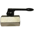 1/2 Fxf Mini Bv Lever Hdle W/Viton Seals