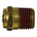 1/4 in. x 1/8 in. Push-In x Male NPT DOT Adapter