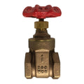 1/2 in. Female NPT x Female NPT Full Port Gate Valve, Crown Handle