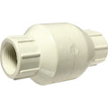 3/4 in. PVC Spring-Loaded Check Valve, Female NPT x Female NPT - 940332