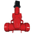 2-1/2 in. Ductile Iron Gate Valve, Threaded, NRS, Operating Nut (9640RT25)